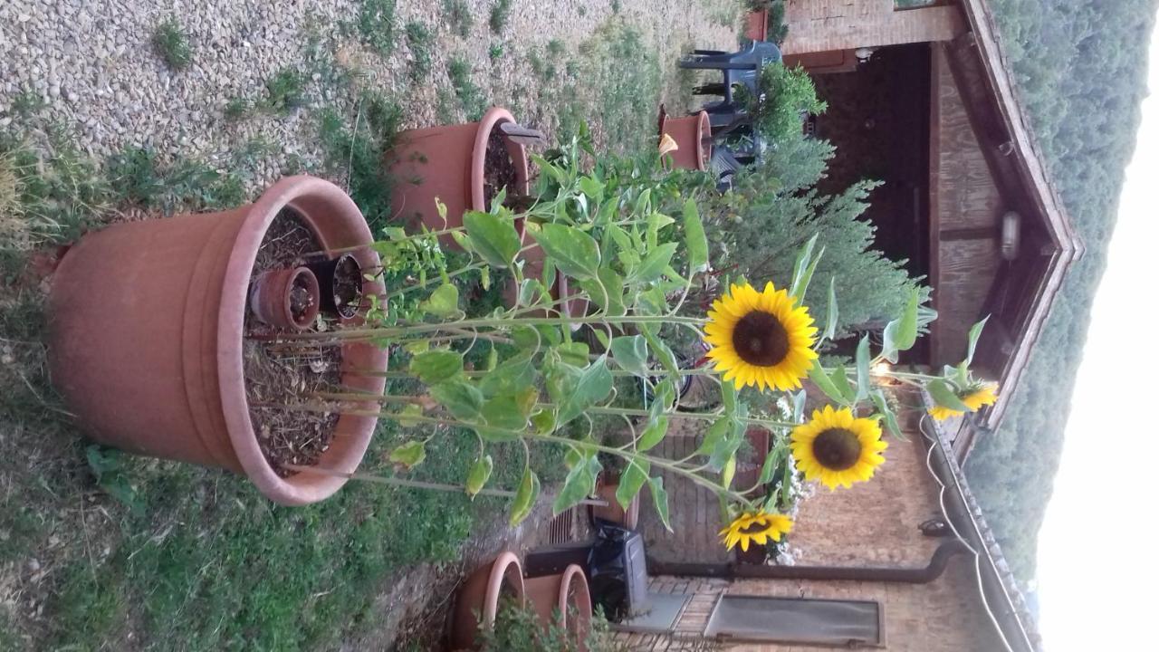 Podere Ficareto Farm Ancaiano Exterior foto